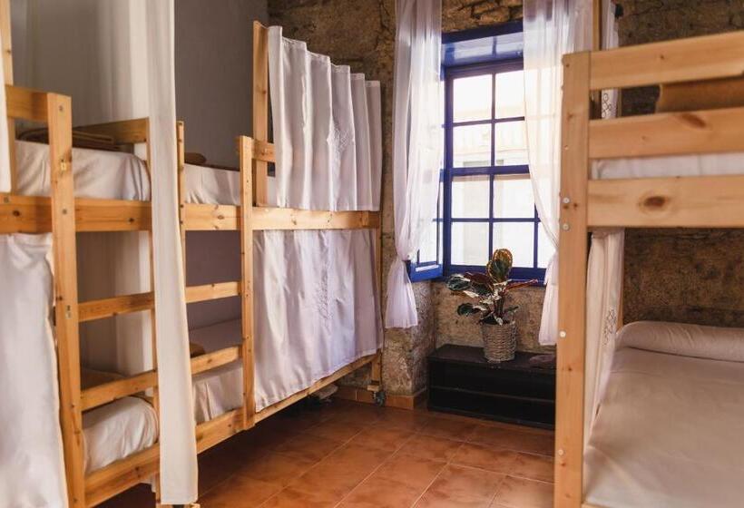 Ashavana Nest Hostel