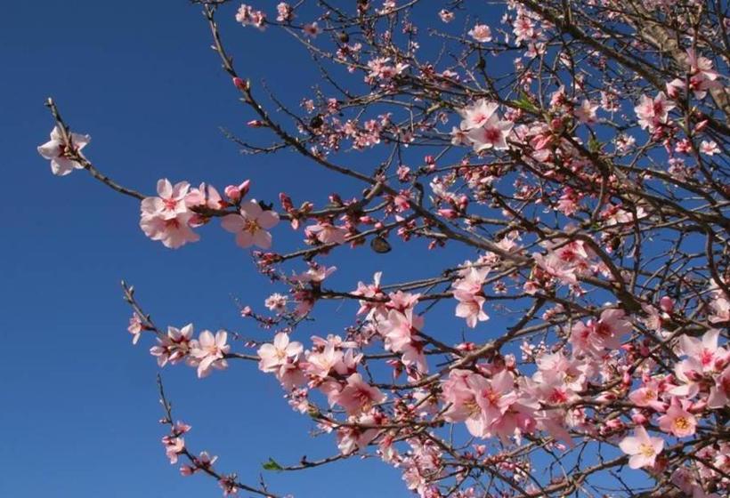 B&b Casa Rural Mas Del Rey