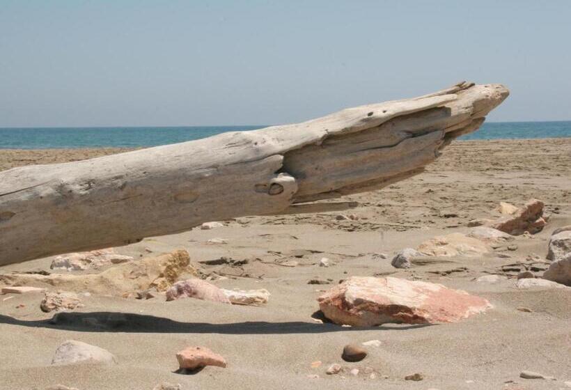 B&b Casa Rural Mas Del Rey