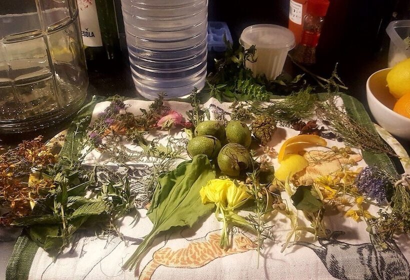 B&b La Rectoria De Sant Miquel De Pineda