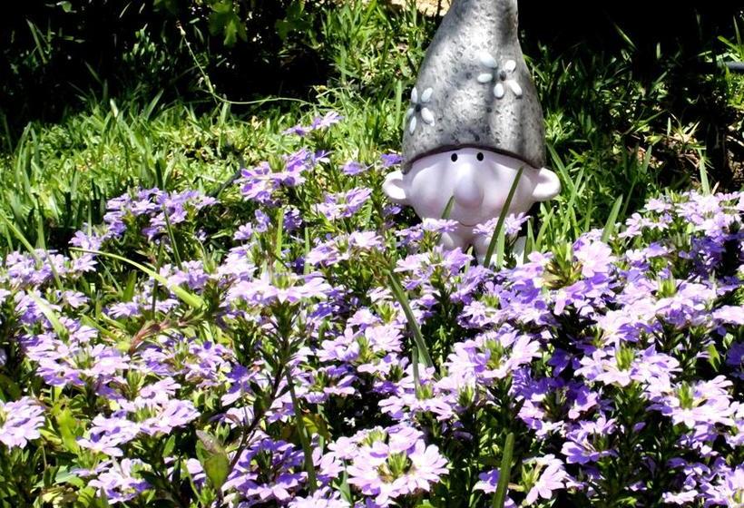 تختخواب و صبحانه At Home In Malaga Stay & Solo Travellers