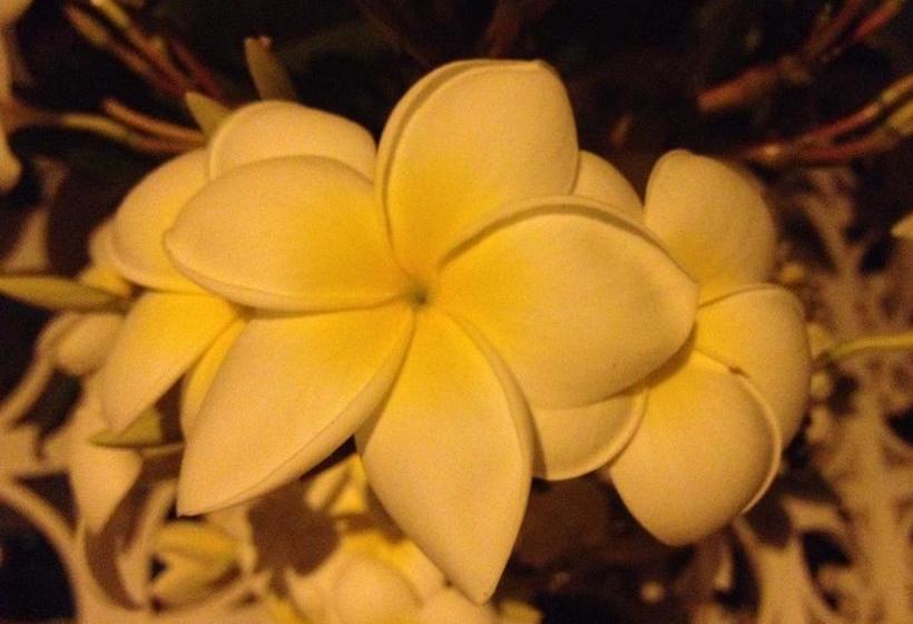 تختخواب و صبحانه At Home In Malaga Stay & Solo Travellers