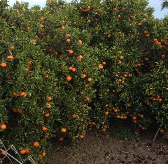 ベッドアンドブレックファースト Bed&breakfast Casa Beli