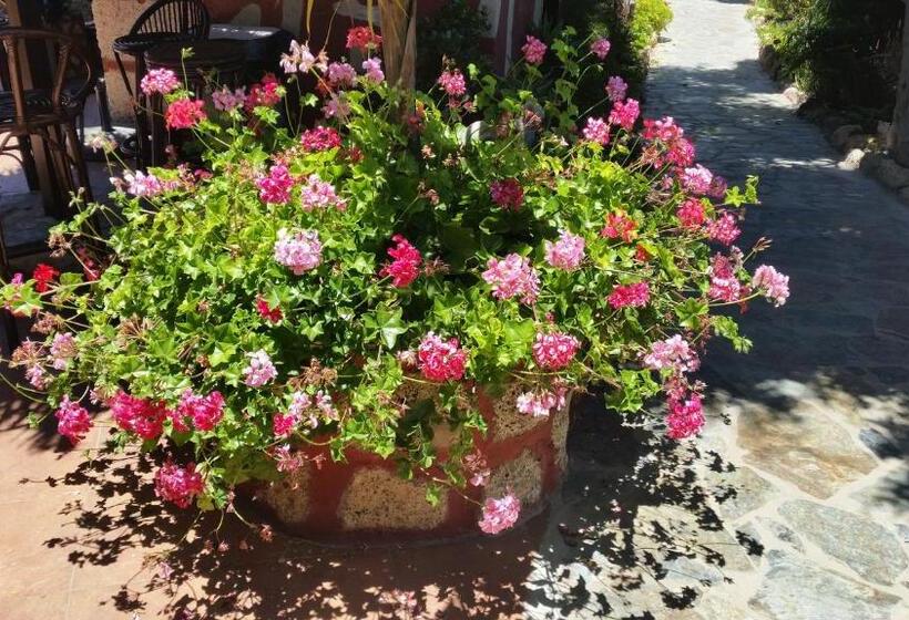 住宿加早餐  Casa Giuliana