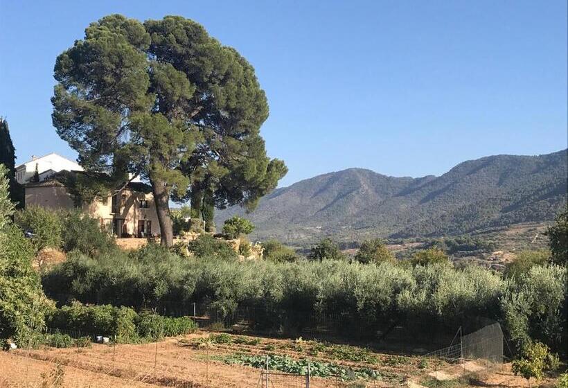 مبيت وإفطار Cortijo El Pino Retreat