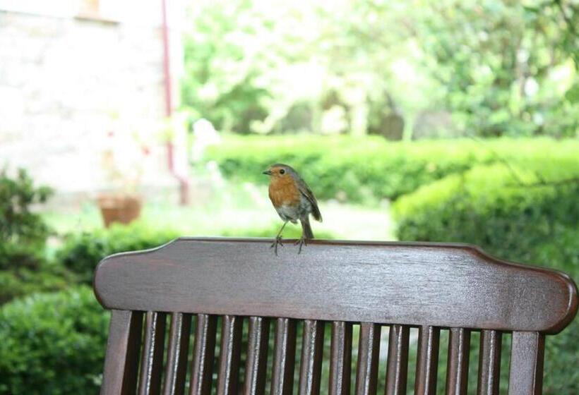 민박 El Balcón Del Eume, Cantina Río Covés