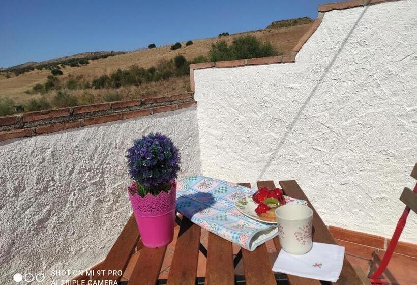 Bed and Breakfast El Lagar Pepe Hotel Staying