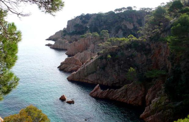 مبيت وإفطار Hostal Chic