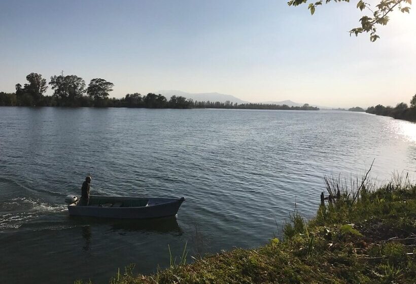 ベッドアンドブレックファースト Hostal Cling 43