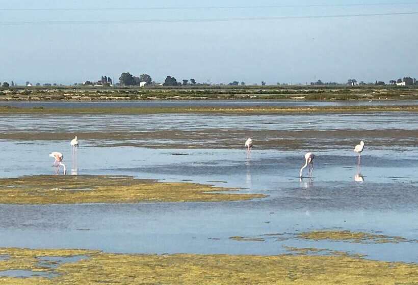 ベッドアンドブレックファースト Hostal Cling 43