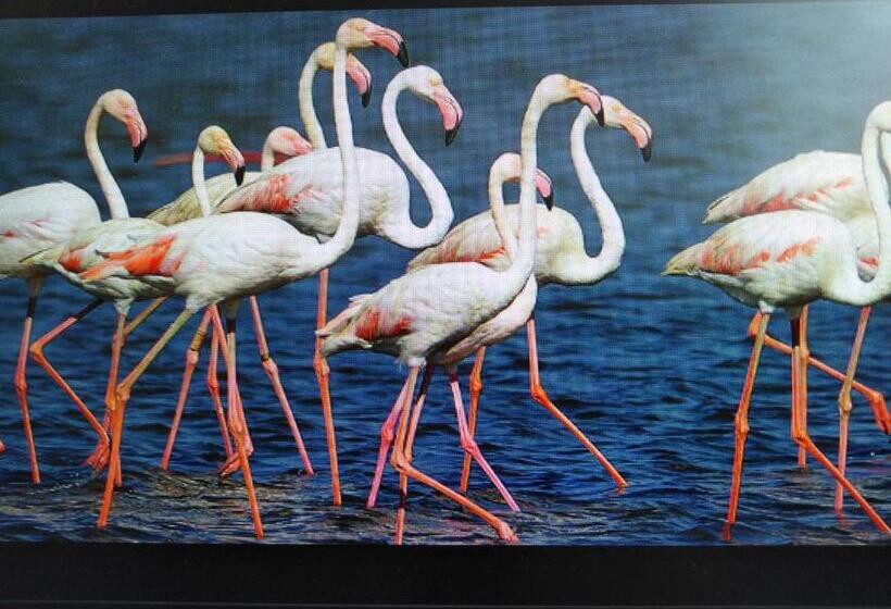 住宿加早餐  La Llar De Laura