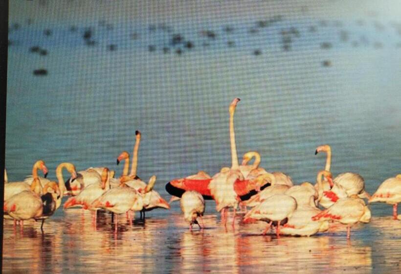 住宿加早餐  La Llar De Laura