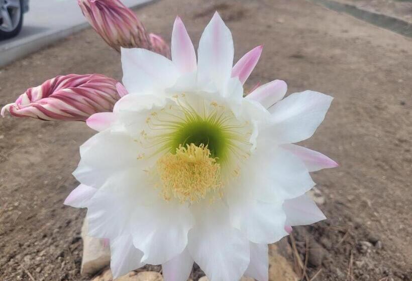 住宿加早餐  La Llar De Laura