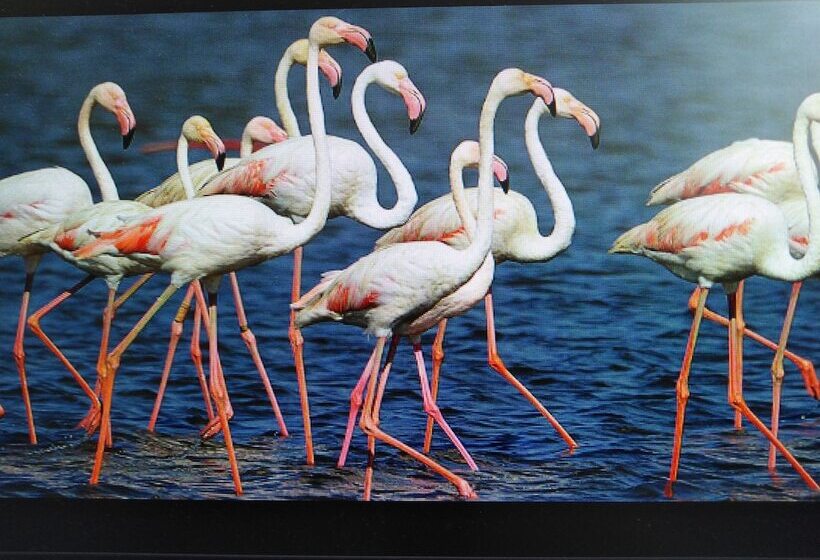 住宿加早餐  La Llar De Laura