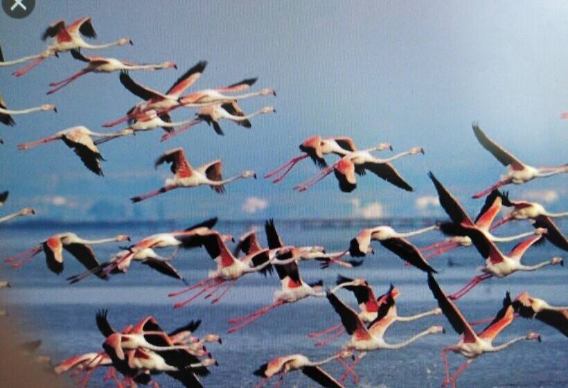 住宿加早餐  La Llar De Laura