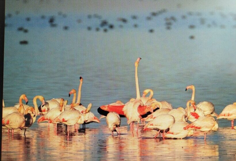 住宿加早餐  La Llar De Laura