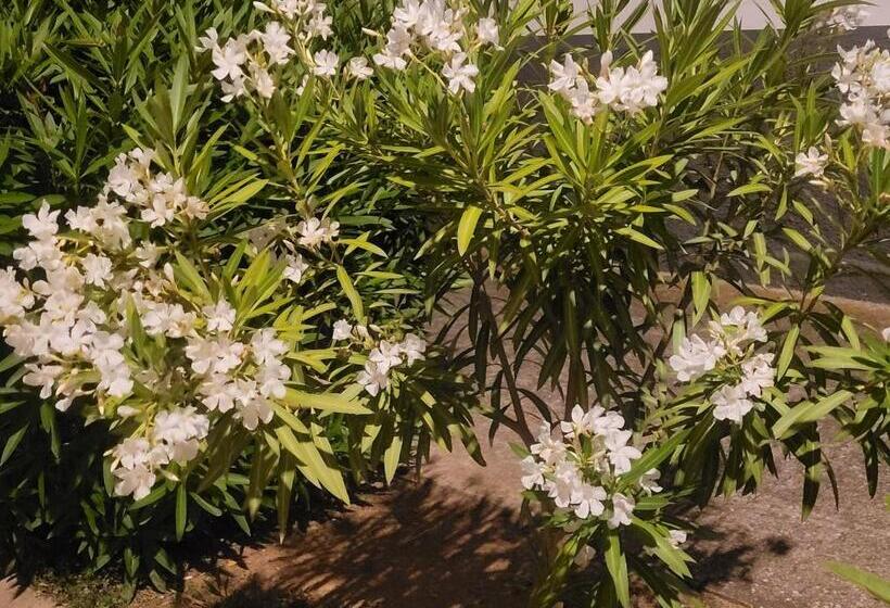 住宿加早餐  La Llar De Laura