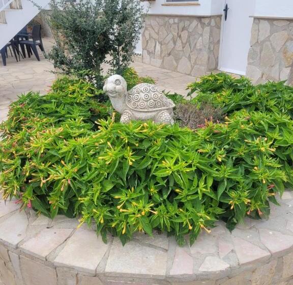 住宿加早餐  La Llar De Laura