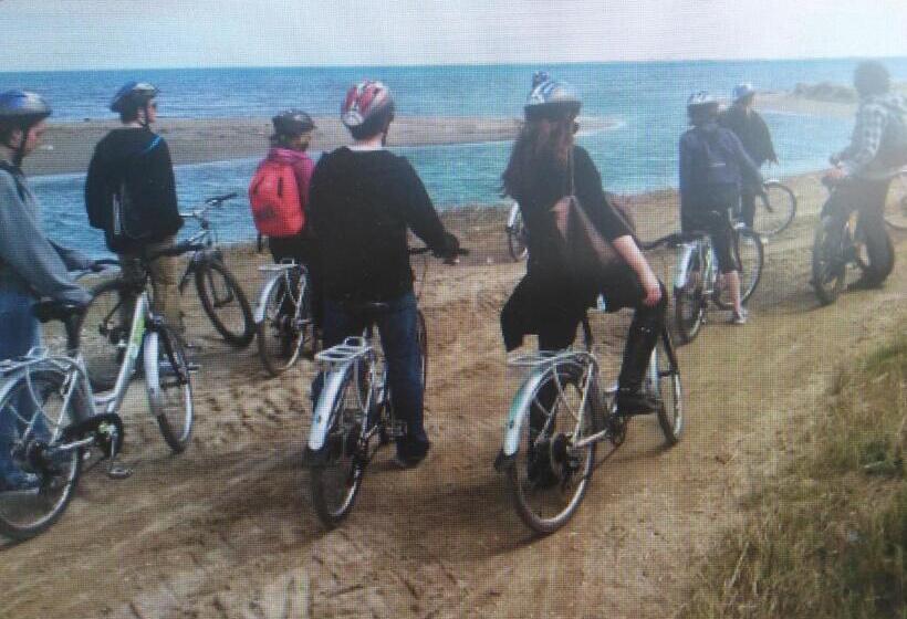 住宿加早餐  La Llar De Laura