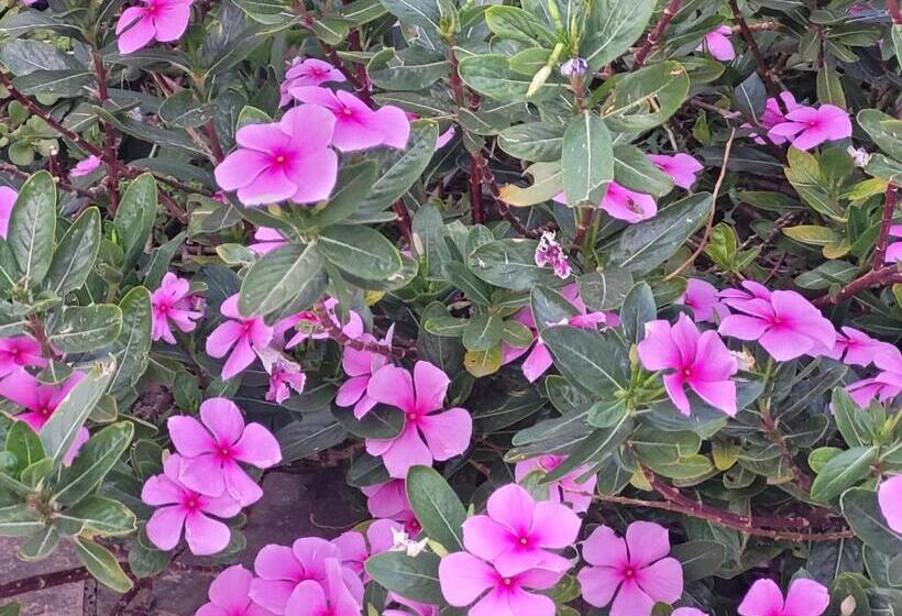 住宿加早餐  La Llar De Laura