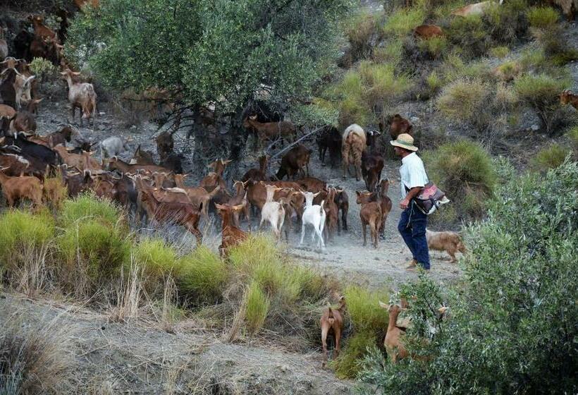 Bed And Breakfast Lagabella