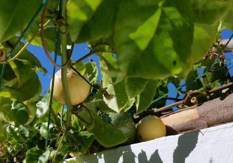 צימר Timanfaya Casa Rural