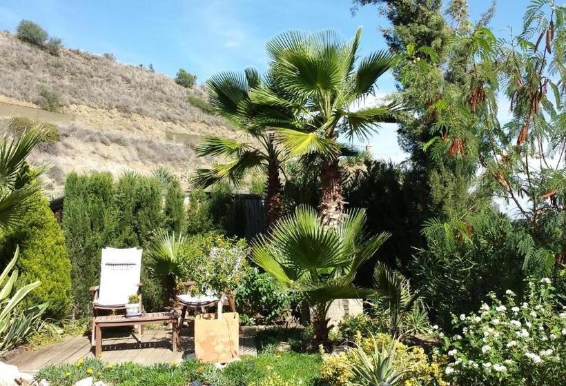 Bed & Breakfast | Guest House Casa Don Carlos