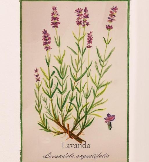 Отель Arte De Cozina