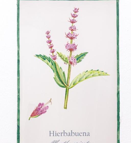 Отель Arte De Cozina