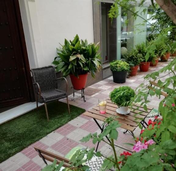 Отель Avenida 31