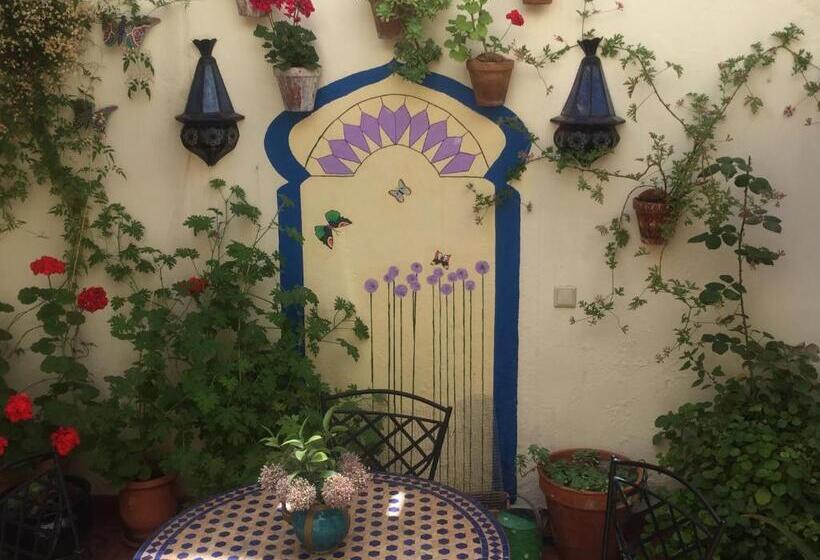 酒店 Baraka Pensión