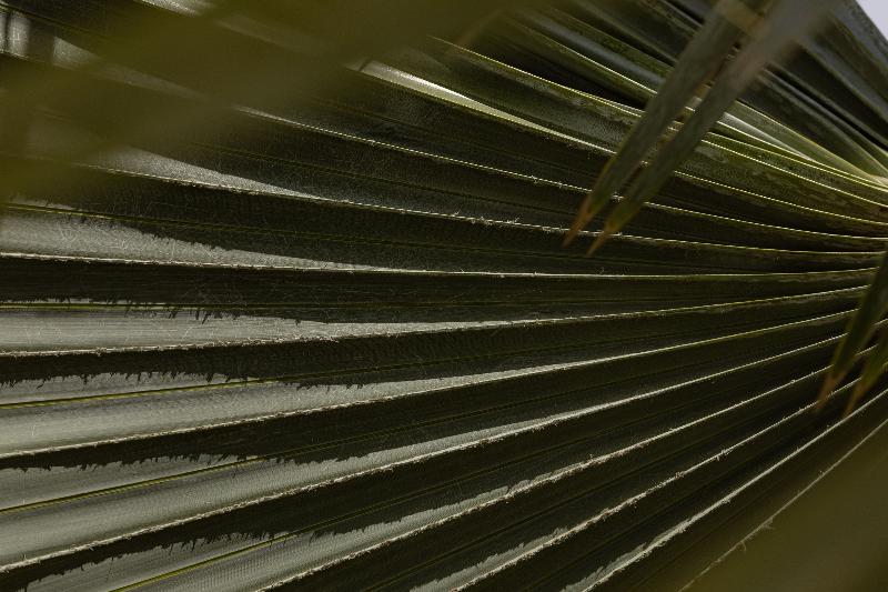 Blanco Hotel Formentera