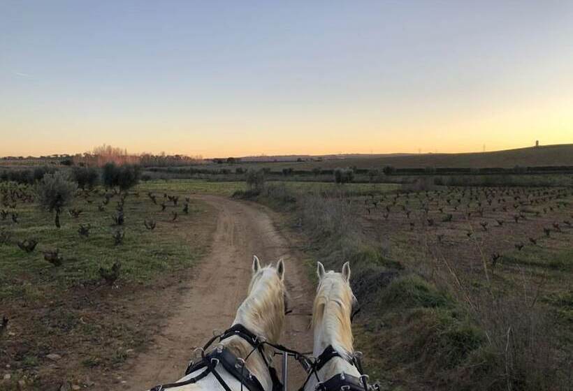 酒店 Bodega El Moral