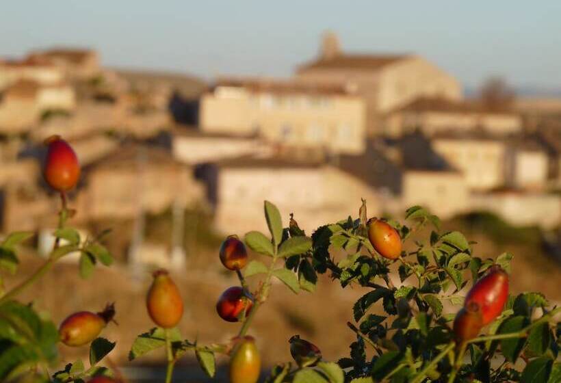 Eco Hotel Boutique & Spa Capitulo Trece   Adults Only