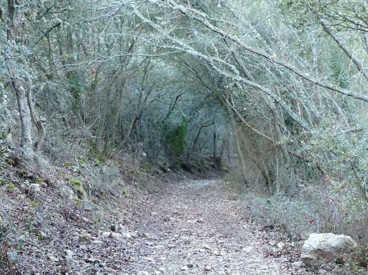 Eco Hotel Boutique & Spa Capitulo Trece   Adults Only