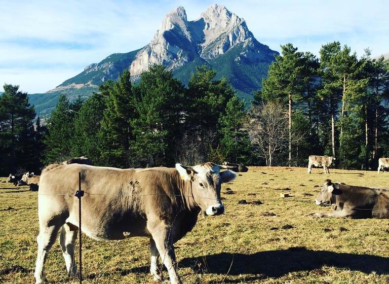 Отель Ca L Andreu
