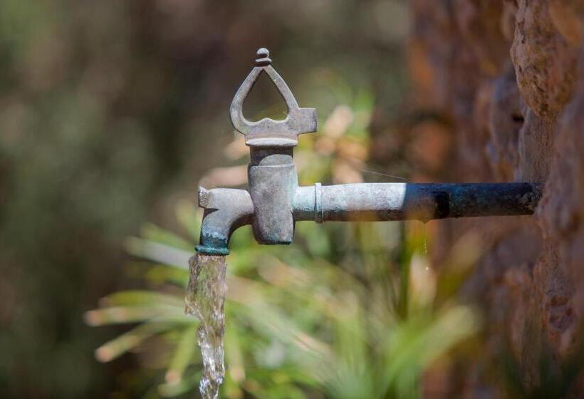 호텔 Cal Secretari Vell   Turismo De Interior