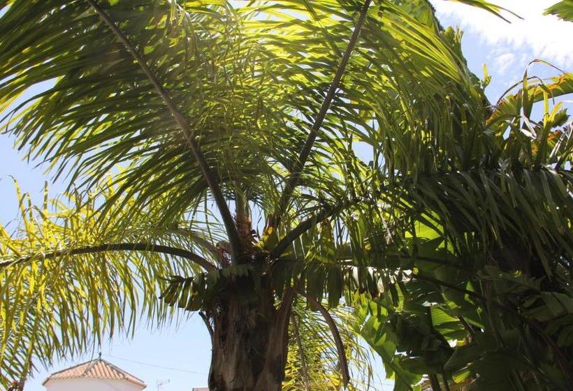 בית מלון כפרי California