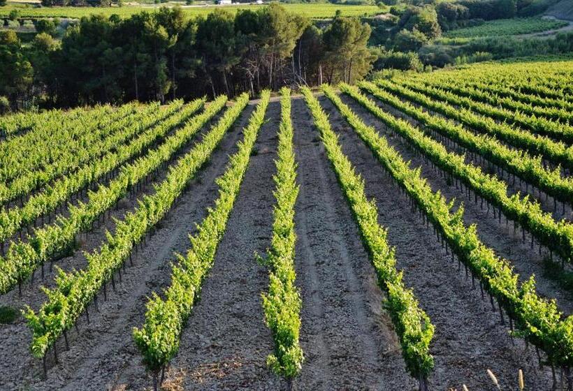 Отель Can Panyella