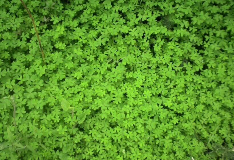 ホテル Centro De Naturaleza Cañada Verde El Parque De Naturaleza Con Mas Experiencias De Andalucía