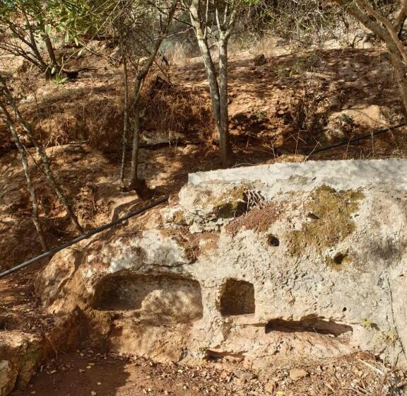 ホテル Centro De Naturaleza Cañada Verde El Parque De Naturaleza Con Mas Experiencias De Andalucía
