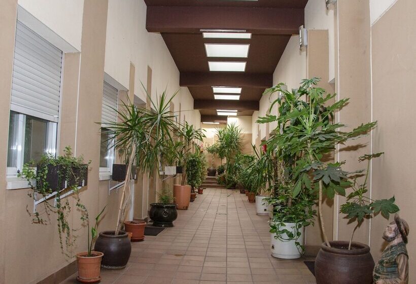 酒店 Ciudad De Alcala