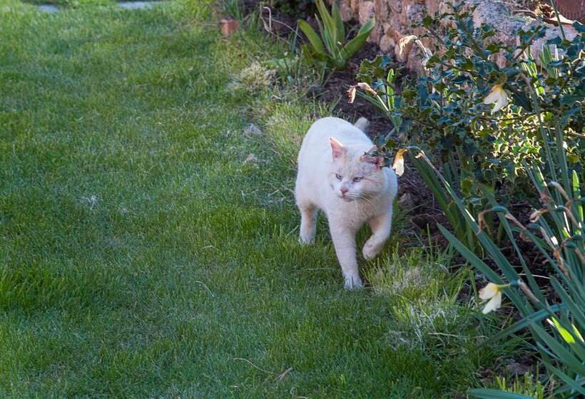 Отель Cornatel Médulas