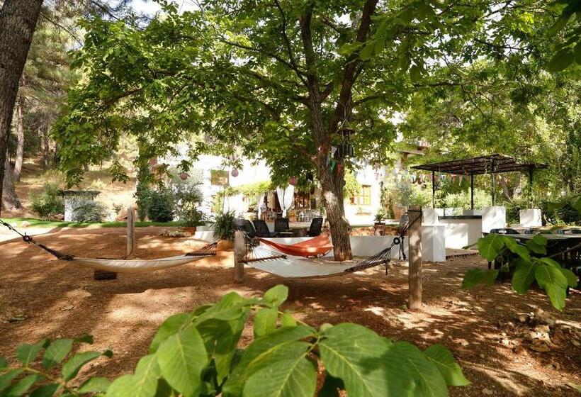 בית מלון כפרי Cortijo De Ramón