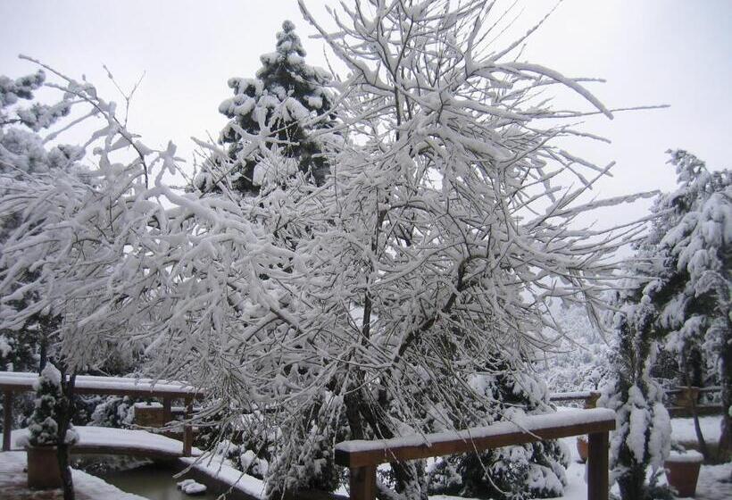 בית מלון כפרי De Montaña Cueva Ahumada