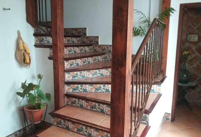 בית מלון כפרי El Perro De Paterna