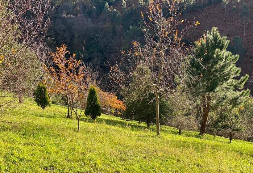 هتل Finca Portizuelo