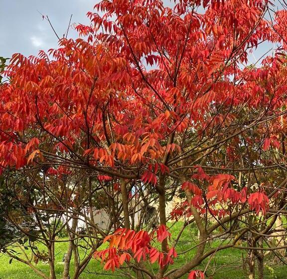 هتل Finca Portizuelo