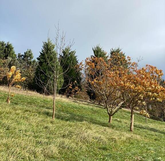 هتل Finca Portizuelo