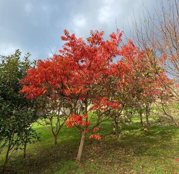 هتل Finca Portizuelo